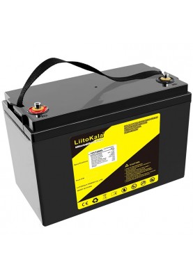 Акумуляторна батарея LiitoKala LiFePO4 12V100Ah(4S2P)