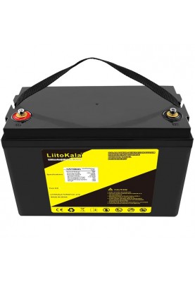 Акумуляторна батарея LiitoKala LiFePO4 12V100Ah(4S2P)
