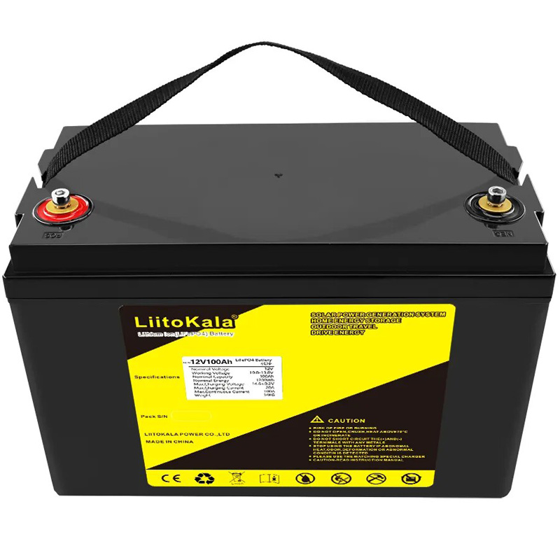Акумуляторна батарея LiitoKala LiFePO4 12V100Ah(4S2P)