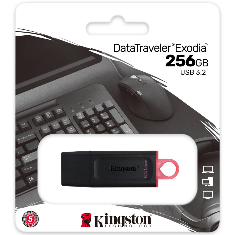 USB Flash Kingston DT Exodia 256GB USB3.2 Gen1 Black/Pink, Retail