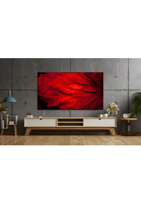 TV 40 AIWA 40GO50804FHD FHD/DLED/T2/Google TV/2 x 10W/Dolby Digital/HDMI/Wi-Fi/VESA 200x100/Black