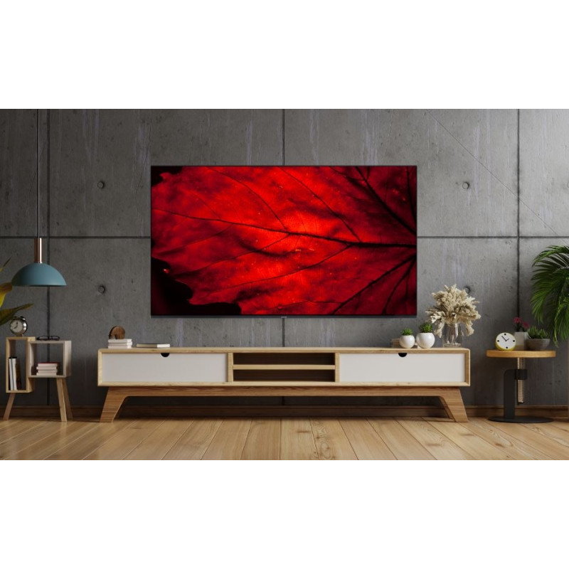 TV 40 AIWA 40GO50804FHD FHD/DLED/T2/Google TV/2 x 10W/Dolby Digital/HDMI/Wi-Fi/VESA 200x100/Black