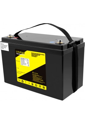 Акумуляторна батарея LiitoKala LiFePO4 12V150Ah(4S2P)