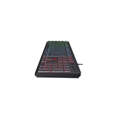 Клавіатура Havit HV-KB275L Light USB