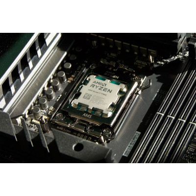 AMD Ryzen 7 8C/16T 7700X (4.5/5.0GHz Boost,40MB,105W,AM5) box, with Radeon Graphics