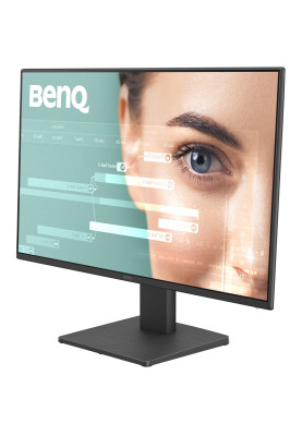 TFT 23.8" BenQ GW2491, IPS, 100Hz, HDMI, DP, чорний