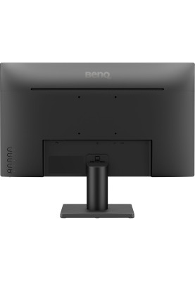 TFT 23.8" BenQ GW2491, IPS, 100Hz, HDMI, DP, чорний
