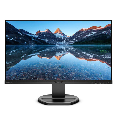 Монітор TFT 25" Philips 252B9, 16:10, IPS, D-Sub, HDMI, DVI-D, DP, USB 3.1 hub, Pivot, колонки, чорний