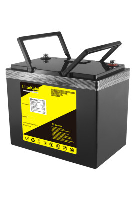 Акумуляторна батарея LiitoKala LiFePO4 12V100Ah, LCD