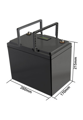 Акумуляторна батарея LiitoKala LiFePO4 12V100Ah, LCD