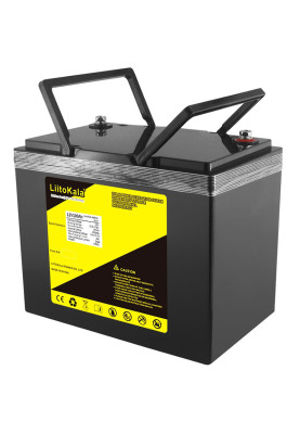 Акумуляторна батарея LiitoKala LiFePO4 12V100Ah