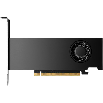 Відеокарта NVIDIA RTX 2000 Ada HP 16GB 4mDP