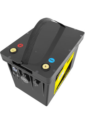 Акумуляторна батарея LiitoKala LiFePO4 DC-12V100Ah, LED, XLR 3PIN, DC5.5 * 2.1/2 5A, USB3.0/1 18W, P