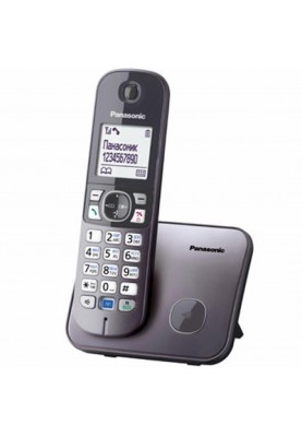 Телефон DECT Panasonic  KX-TG6811UAM, Metallic
