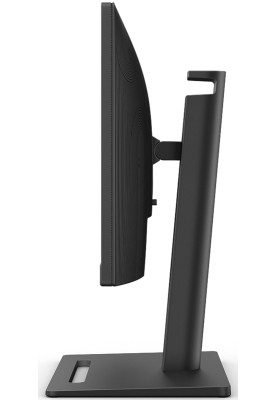 TFT 23.8" BenQ BL2490T, IPS, 100Гц, 2хHDMI, DP, HAS, колонки, чорний