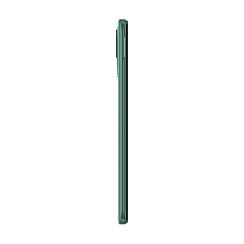 Смартфон Xiaomi Redmi 10C NFC 4/64GB Mint Green (220333QNY)