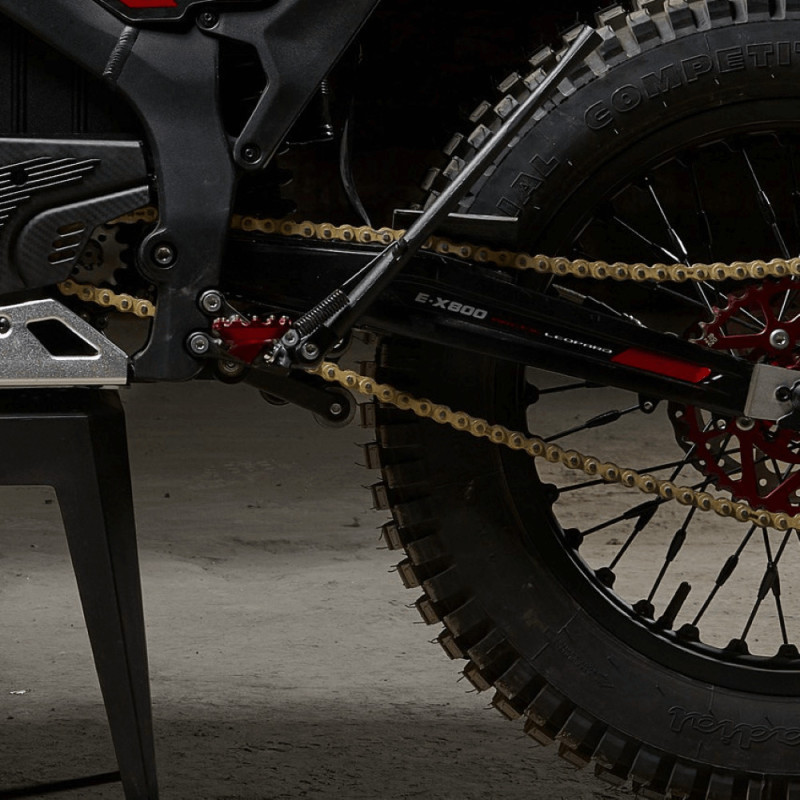 Електробайк ARCTIC LEOPARD SNOW E-X 800 (OFF-ROAD)