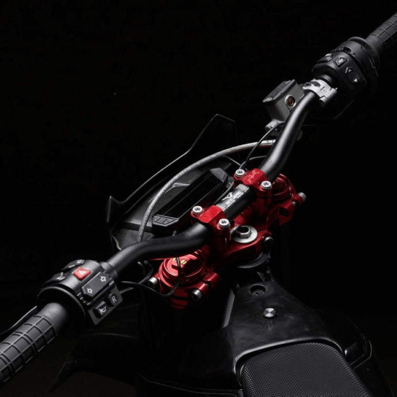 Електробайк ARCTIC LEOPARD CHEETAH E-XE 880 (ENDURO)