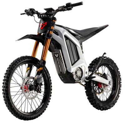 Електробайк ARCTIC LEOPARD XF PRO (gold)+COLOR (Grey)