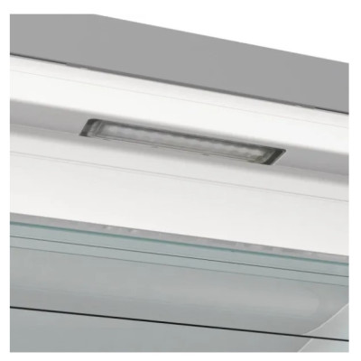 Морозильна камера Gorenje FN619EAXL6