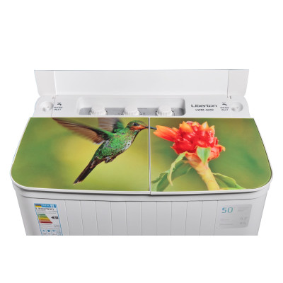 Пральна машина LIBERTON LWM-6202 PUMP (6,2 кг, двостороння, помпа)