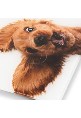 Ваги напольні Zelmer ZBS1010 Crazy dog