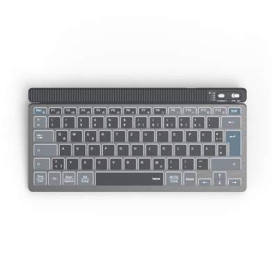 Hama Wireless Keyboard WK-700 (173067) DE