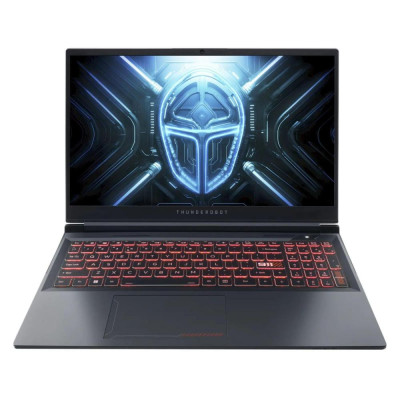 Thunderobot R16 (1NLYB000015) Gray (16/IPS/2560x1600/300Hz/i9-14900HX/64GB RAM/2TB SSD/RTX 5060/Win11H)