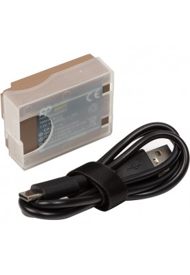 Акумулятор PowerPlant Panasonic TDMW-BLC12 1900mAh з кабелем Type-C