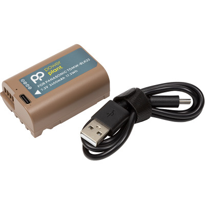 Акумулятор PowerPlant Panasonic TDMW-BLK22 2400mAh з кабелем Type-C