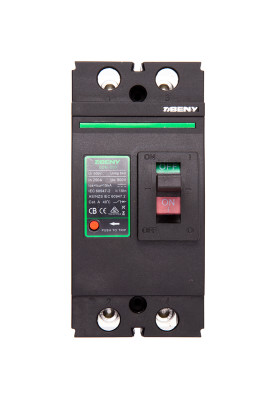 Автоматичний вимикач постійного струму HiSmart 2P, 250A, 500VDC