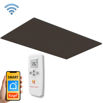 Стельовий металевий обігрівач HSteel ISHC 6010 R Wi-Fi