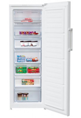 Морозильна камера Beko RFNE 290L21 W (6267492)