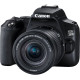 Цифрова дзеркальна фотокамера Canon EOS 250D Kit 18-55 IS STM Black (6500425)