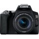 Цифрова дзеркальна фотокамера Canon EOS 250D Kit 18-55 IS STM Black (6500425)
