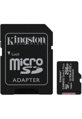 Карта пам'яті Kingston microSDHC 256GB Canvas Select + A1 (W100/W85) + SD адаптер (6519924)