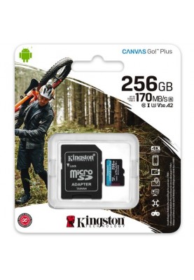 Карта пам'яті Kingston microSDXC 256GB Canvas Go+ U3 V30 (SDCG3/256GB) + Адаптер (6552771)