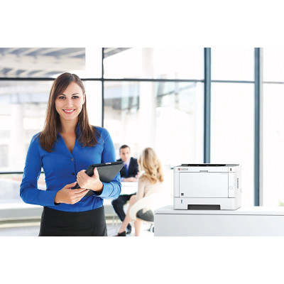 Принтер Kyocera Ecosys P2235dn (6534746)