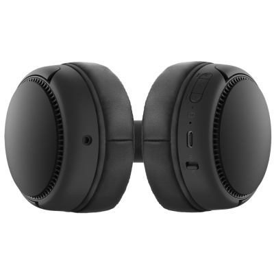 Гарнітура Panasonic RB-M300BGE-K (6609567)