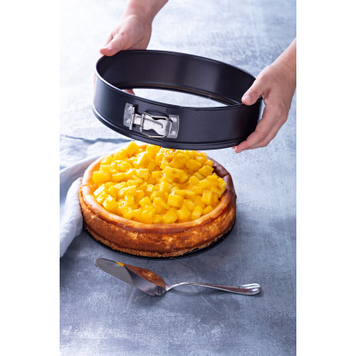 Форма Pyrex Daily для випічки роз'ємна, 25 см (6671814)