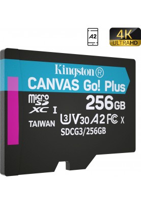 Карта пам'яті Kingston microSDXC 256GB Canvas Go+ U3 V30 (SDCG3/256GBSP) (6702579)