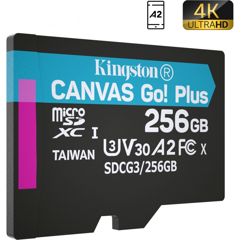 Карта пам'яті Kingston microSDXC 256GB Canvas Go+ U3 V30 (SDCG3/256GBSP) (6702579)