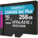 Карта пам'яті Kingston microSDXC 256GB Canvas Go+ U3 V30 (SDCG3/256GBSP) (6702579)