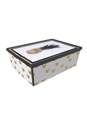 Контейнер Qutu Trend Box Pineapple Life, 25 л (6709312)