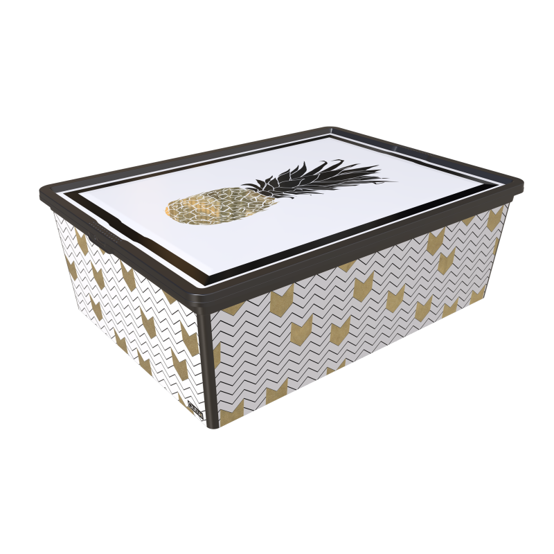 Контейнер Qutu Trend Box Pineapple Life, 25 л (6709312)