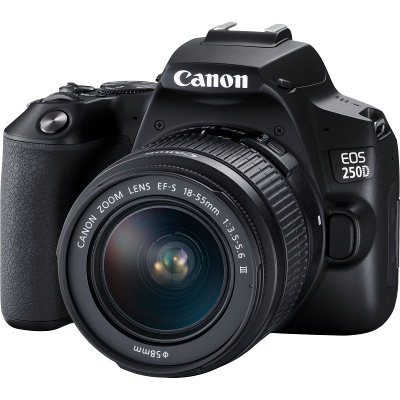 Цифрова дзеркальна фотокамера Canon EOS 250D kit 18-55 DC III Black (6520070)