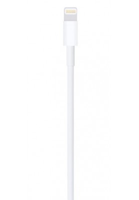 Кабель Apple Lightning to USB Cable (2 m) (6793686)