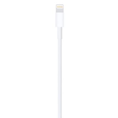 Кабель Apple Lightning to USB Cable (2 m) (6793686)