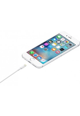 Кабель Apple Lightning to USB Cable (2 m) (6793686)