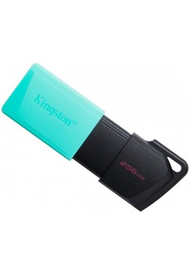 Flash Drive Kingston DT Exodia M 256GB USB 3.2 Teal (6806808)